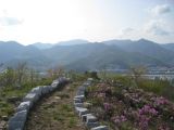 Getting Above It All in&nbsp;Yangsan