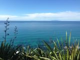 On the Road:&nbsp;Mangawhai